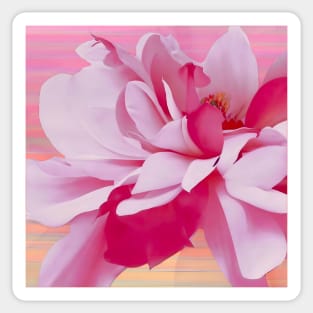 Fuchsia Petals Floral Sticker